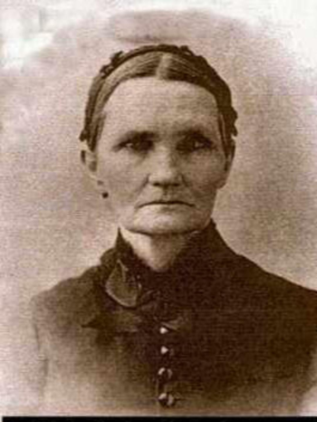 Elizabeth Collins Hunsaker (1837 - 1894) Profile